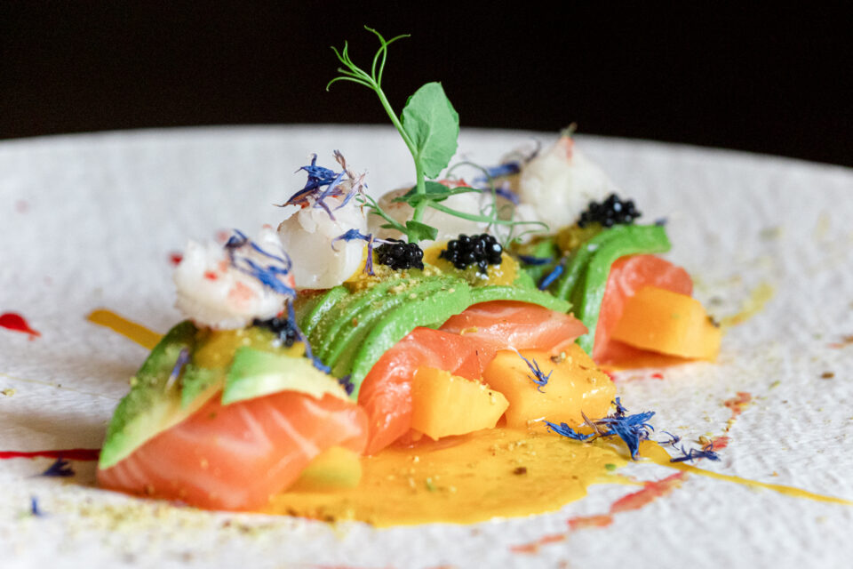 Mangosalmon