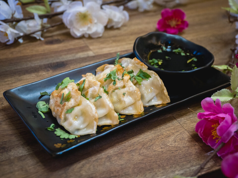 Gyoza Huhn